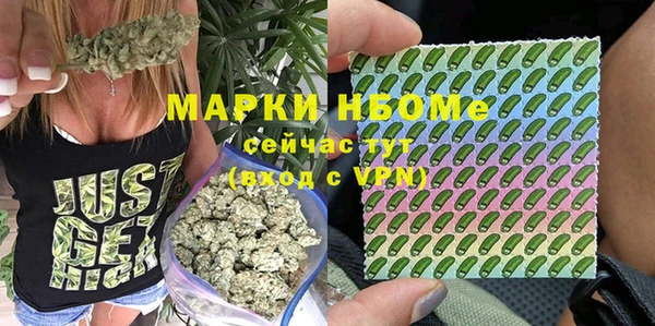 а пвп мука Алзамай